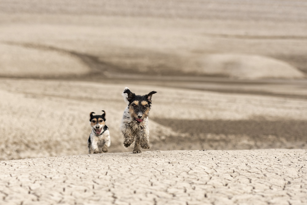 Platz 5 Karoline Thalhofer